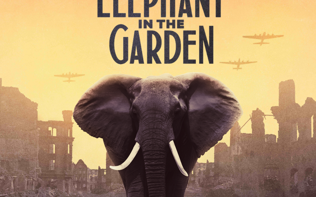 Elephant in the Garden
