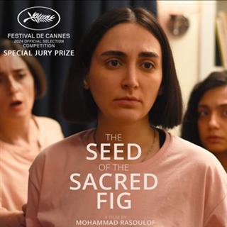 The Seed of the Sacred Fig